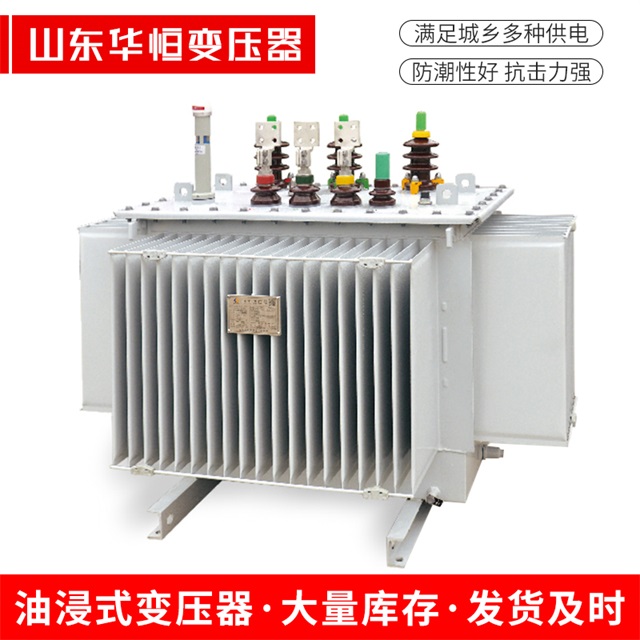 S13-10000/35新乐新乐新乐电力变压器
